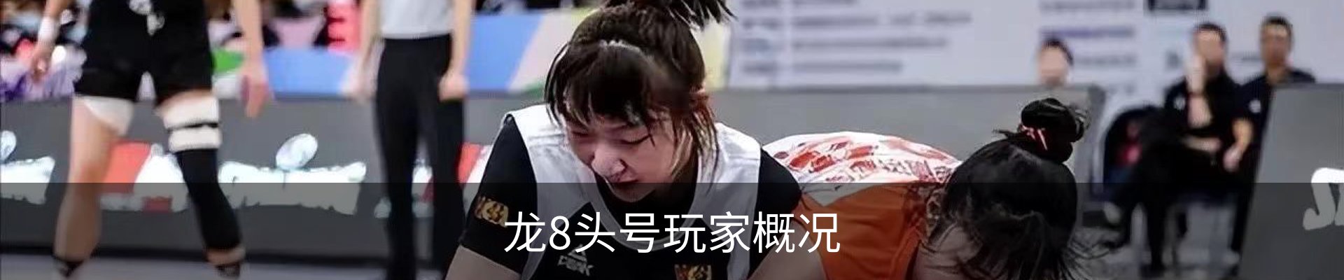 龙8头号玩家概况