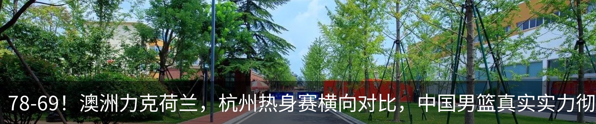 新闻动态